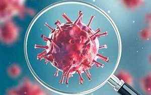 核酸检测需要使用哪种超纯水机