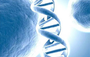 武汉大学周宇和朱玉贤基因组学研究获得突破