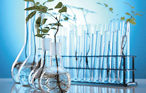 实验室超纯水机春季使用应当注意哪些？