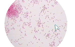 什么是水中的热源？