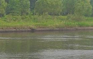 水的硬度是什么意思？