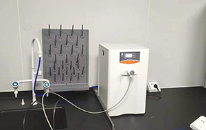 湖北省竹溪县疾控中心SYR采购