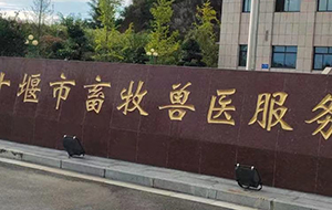 十堰市动物疾控中心