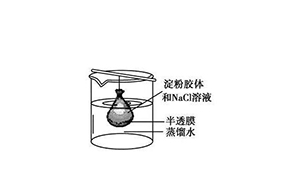 水中的胶体物质及悬浮物质是什么？