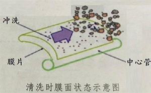 RO膜反冲洗不干净是什么原因?