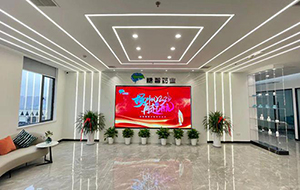 武汉糖智药业二次采购