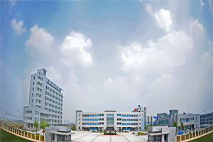 新天钢冷轧薄板